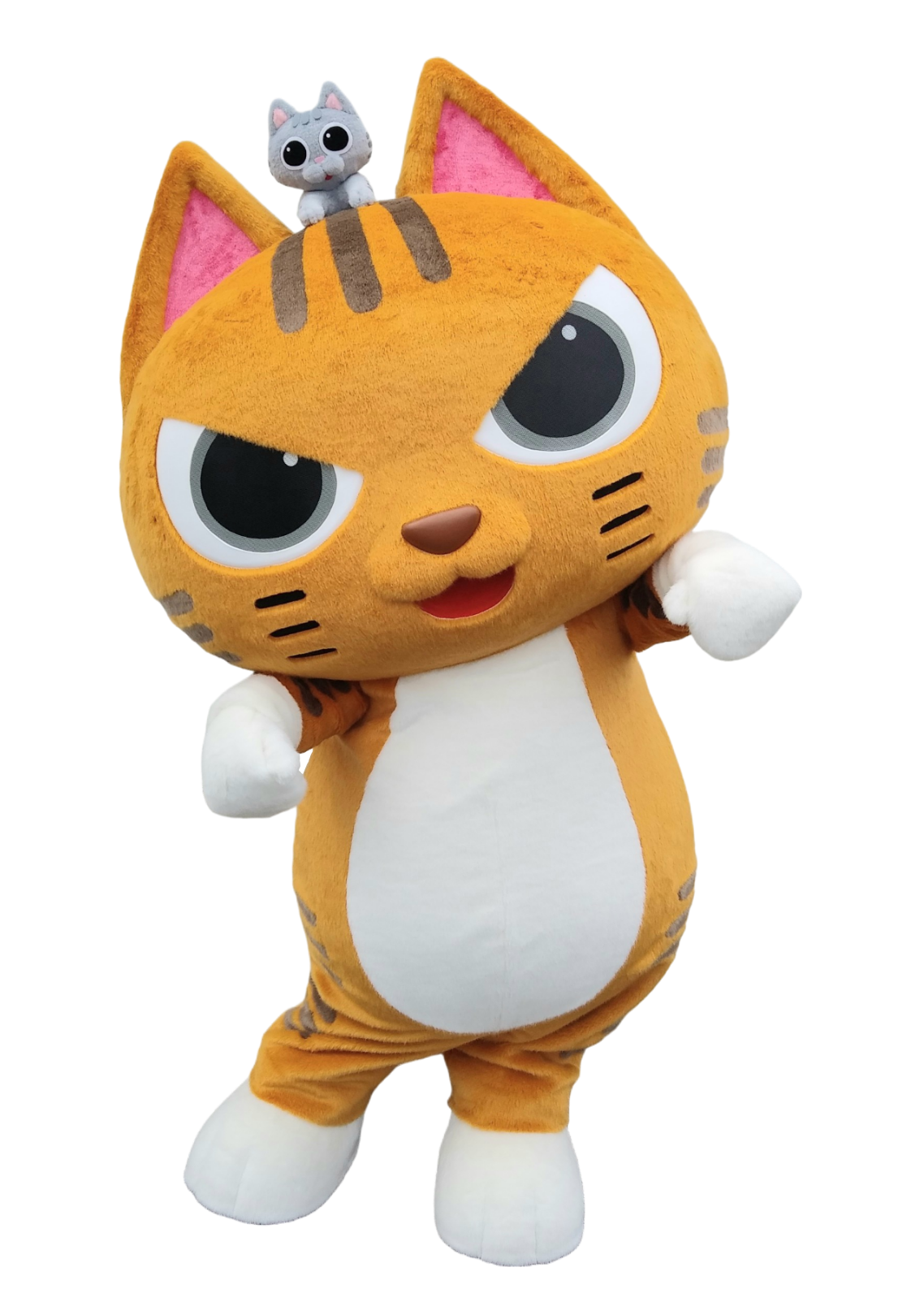 142f14e4c9b70b66f8a7f2fa208306