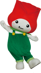 たまたん