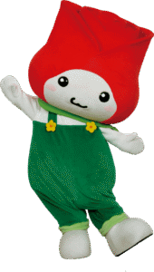 たまたん