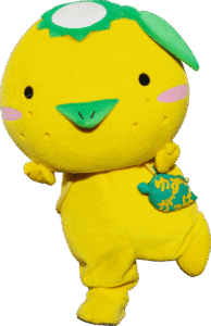 ゆずがっぱ